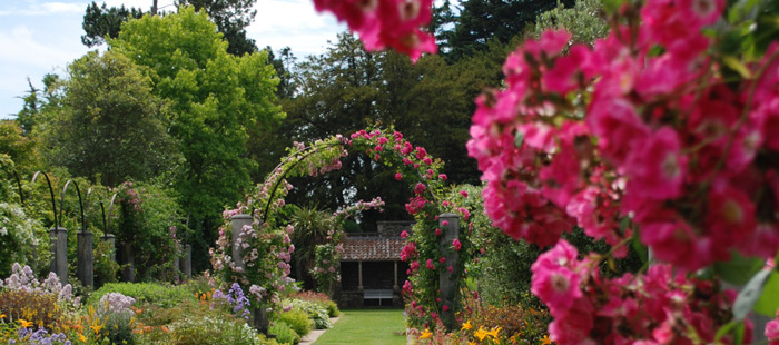 Herbaceous Border